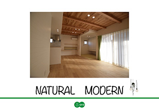 NATURAL MODERN