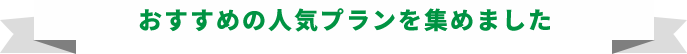 ふたり暮らしにおすすめの人気プランを集めました