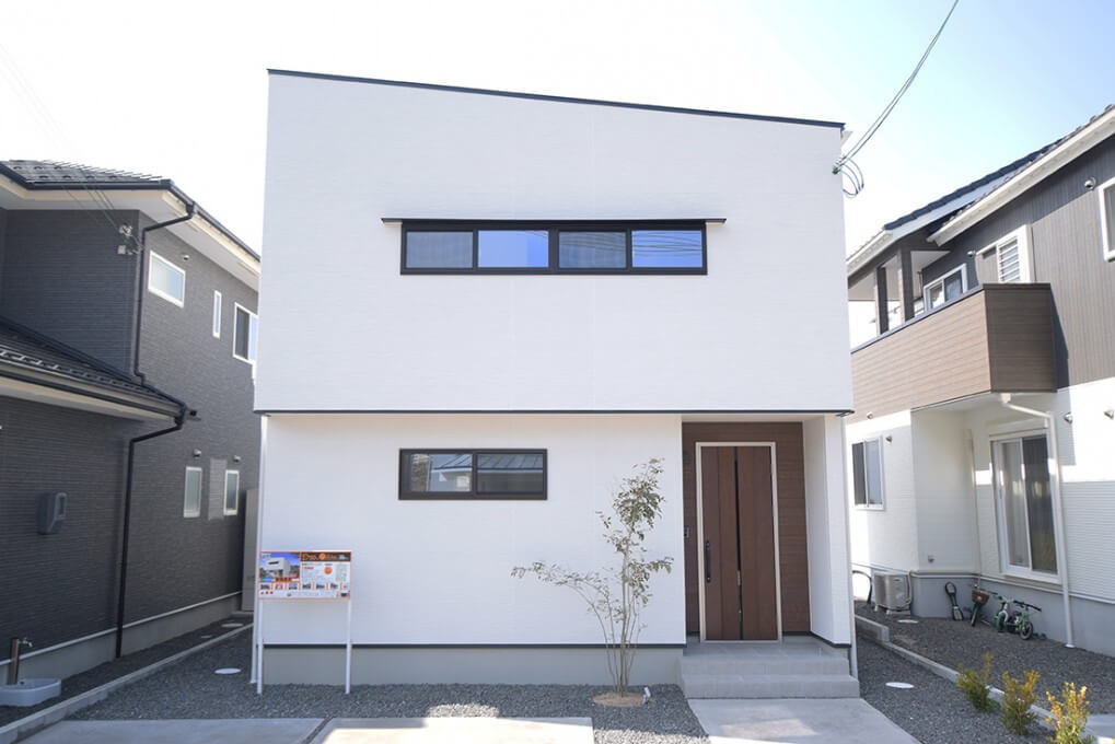 やりたいことを予算内で提案してくれました